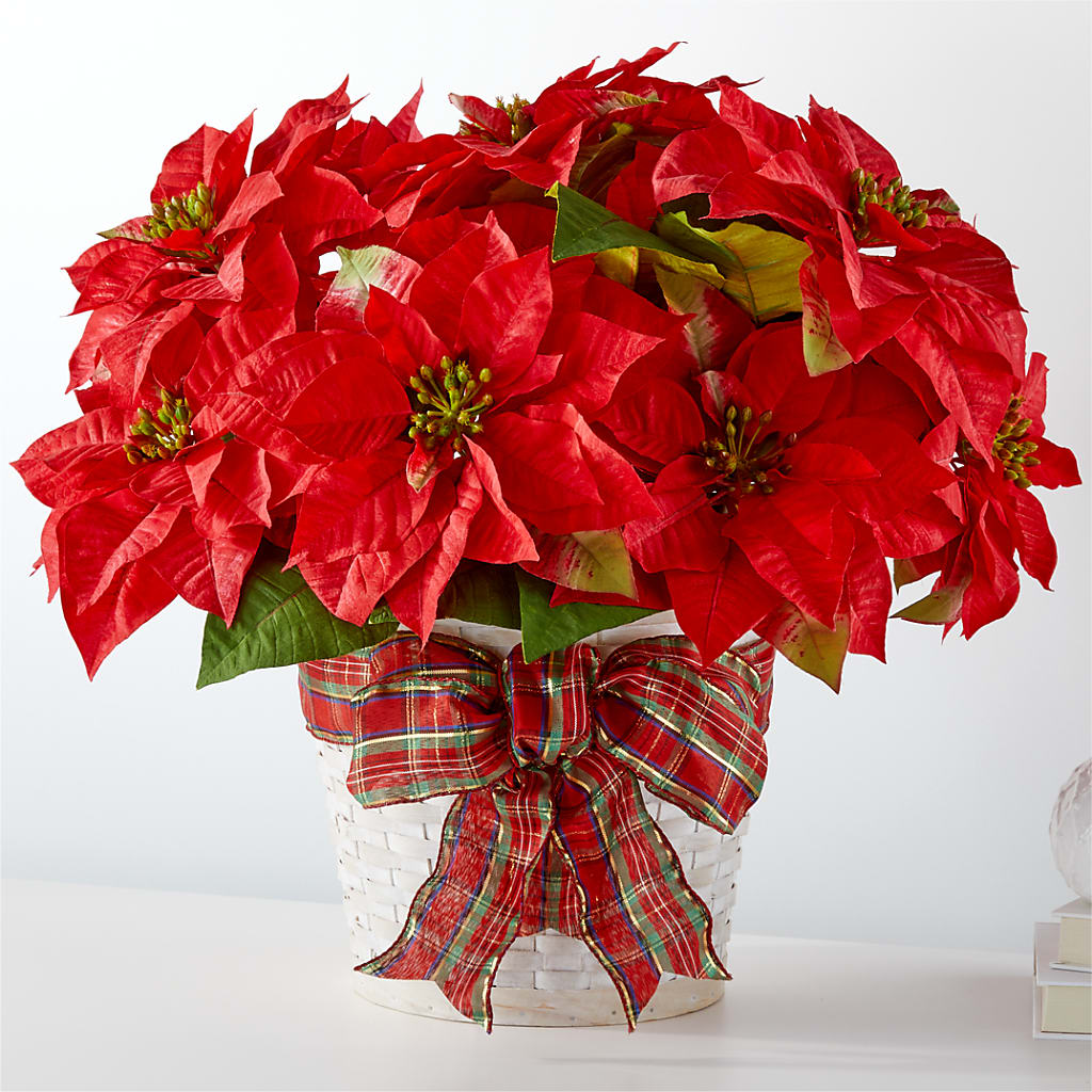 Happiest Holidays Poinsettia – WENDT'S POTS AND POSIES, Dunlap IA