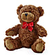 Adorable Plush Bear – WENDT'S POTS AND POSIES, Dunlap IA