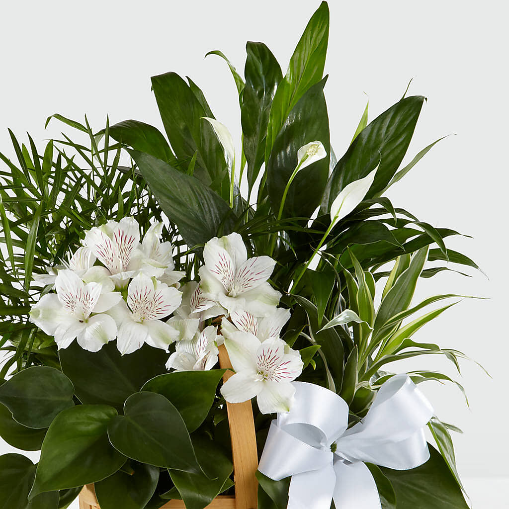 Peace & Serenity Dishgarden – WENDT'S POTS AND POSIES, Dunlap IA