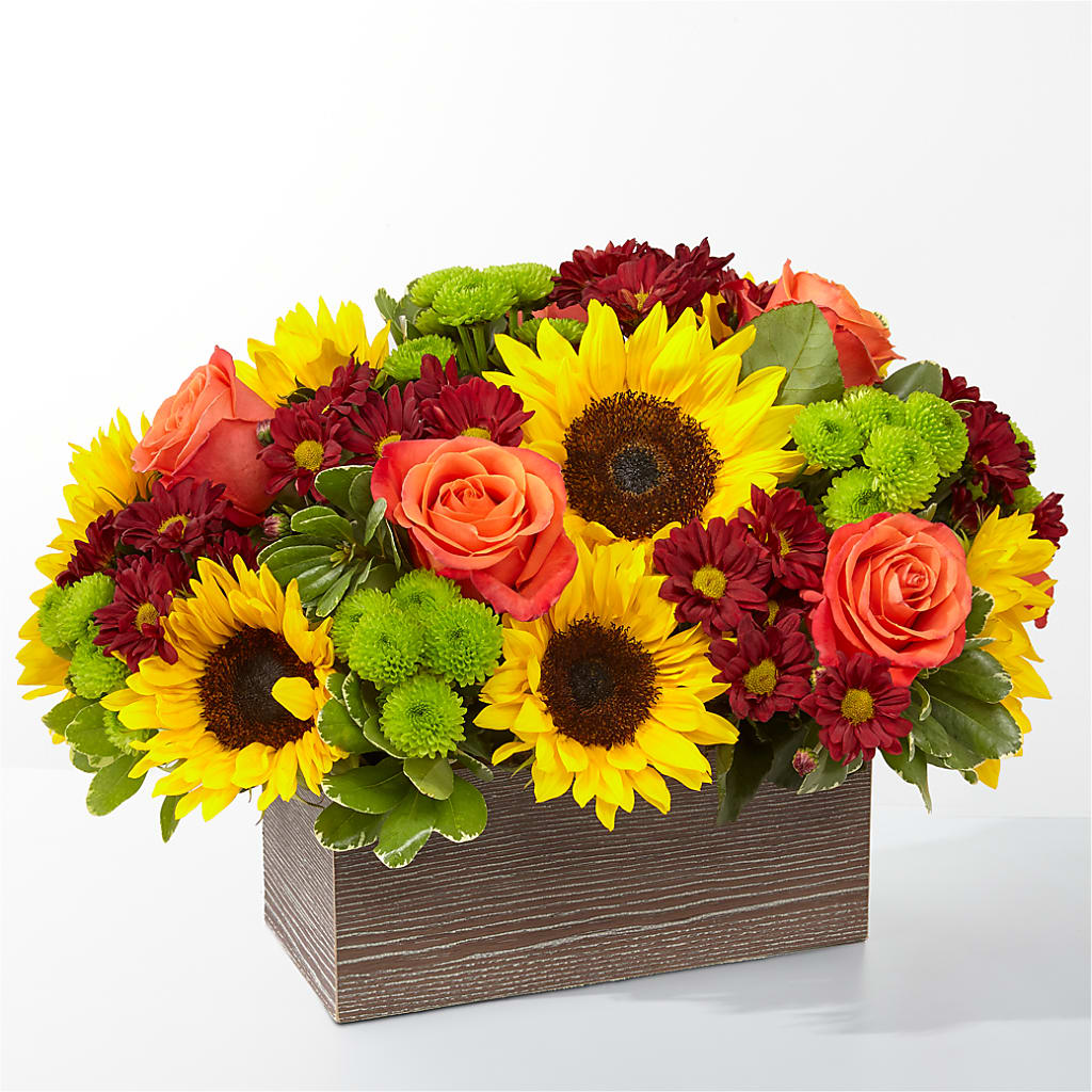 Happy Harvest Garden – WENDT'S POTS AND POSIES, Dunlap IA