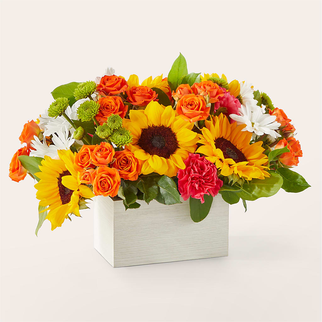 Sun-drenched Blooms Box Bouquet – WENDT'S POTS AND POSIES, Dunlap IA