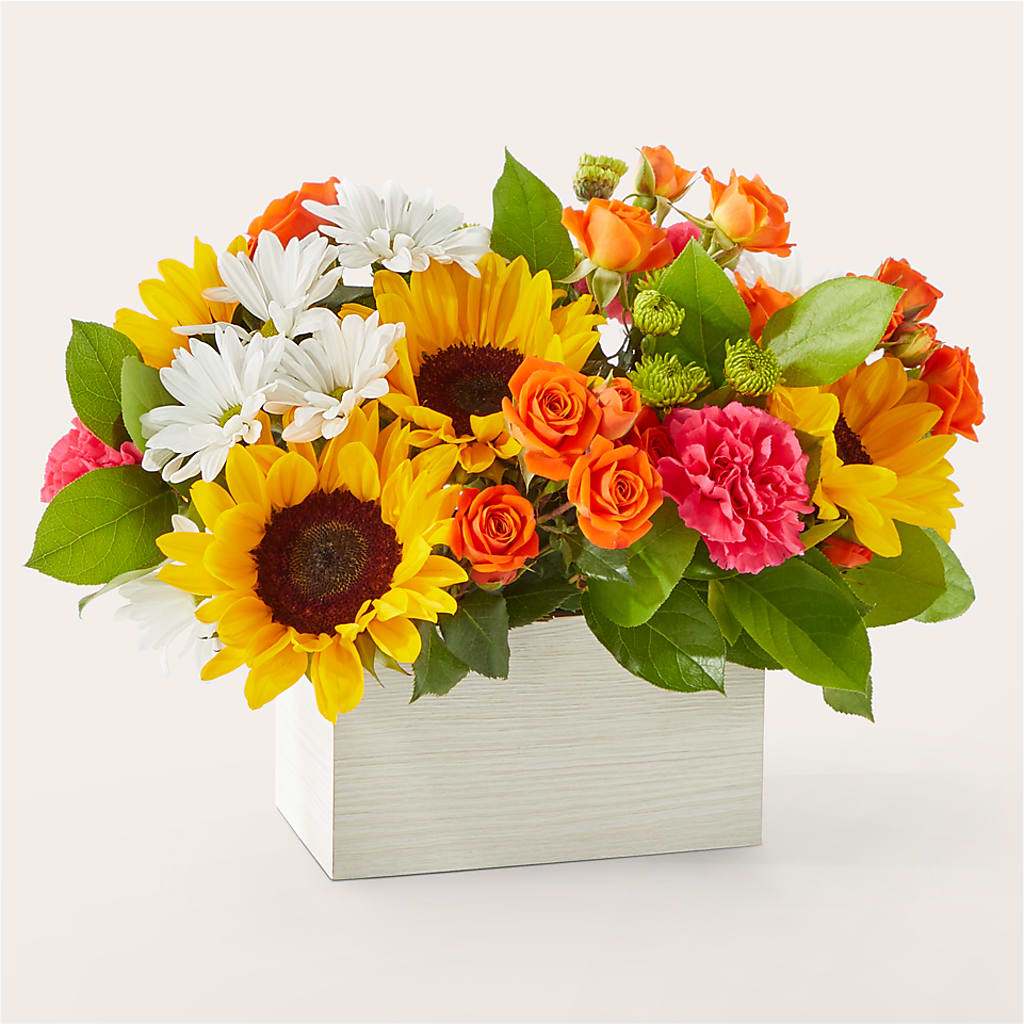 Sun-drenched Blooms Box Bouquet – WENDT'S POTS AND POSIES, Dunlap IA