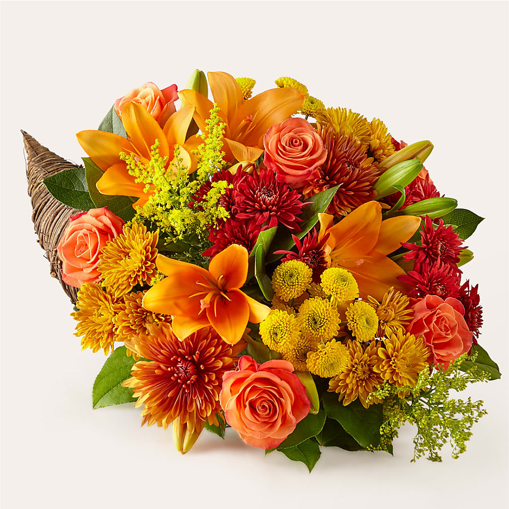 Feast of Color Cornucopia – WENDT'S POTS AND POSIES, Dunlap IA