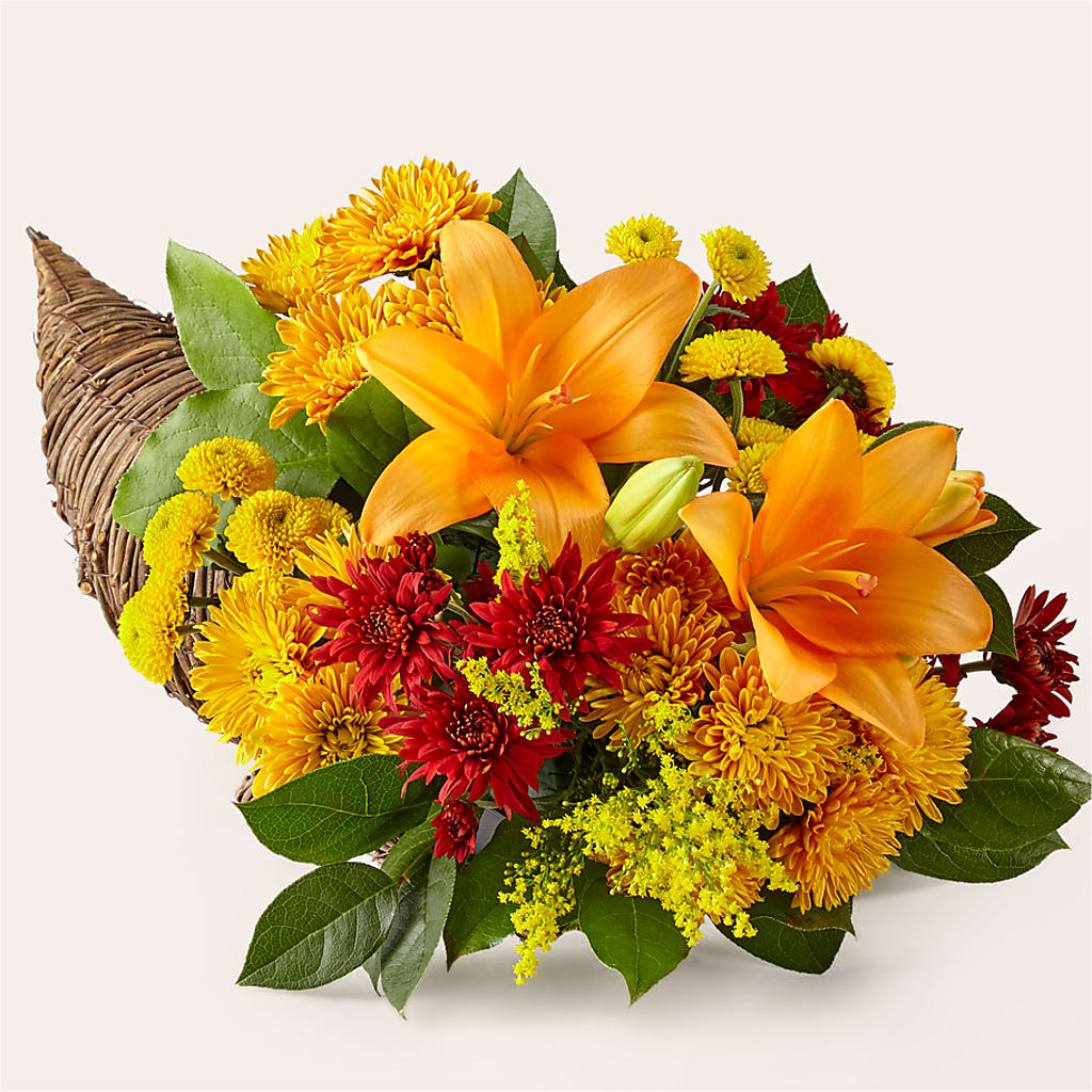 Feast of Color Cornucopia – WENDT'S POTS AND POSIES, Dunlap IA
