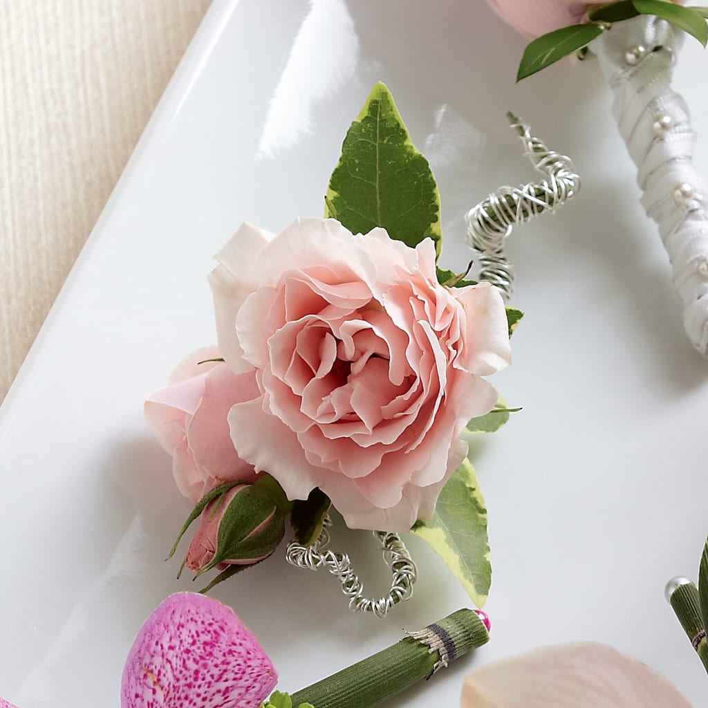 Pink Spray Rose Boutonniere – WENDT'S POTS AND POSIES, Dunlap IA