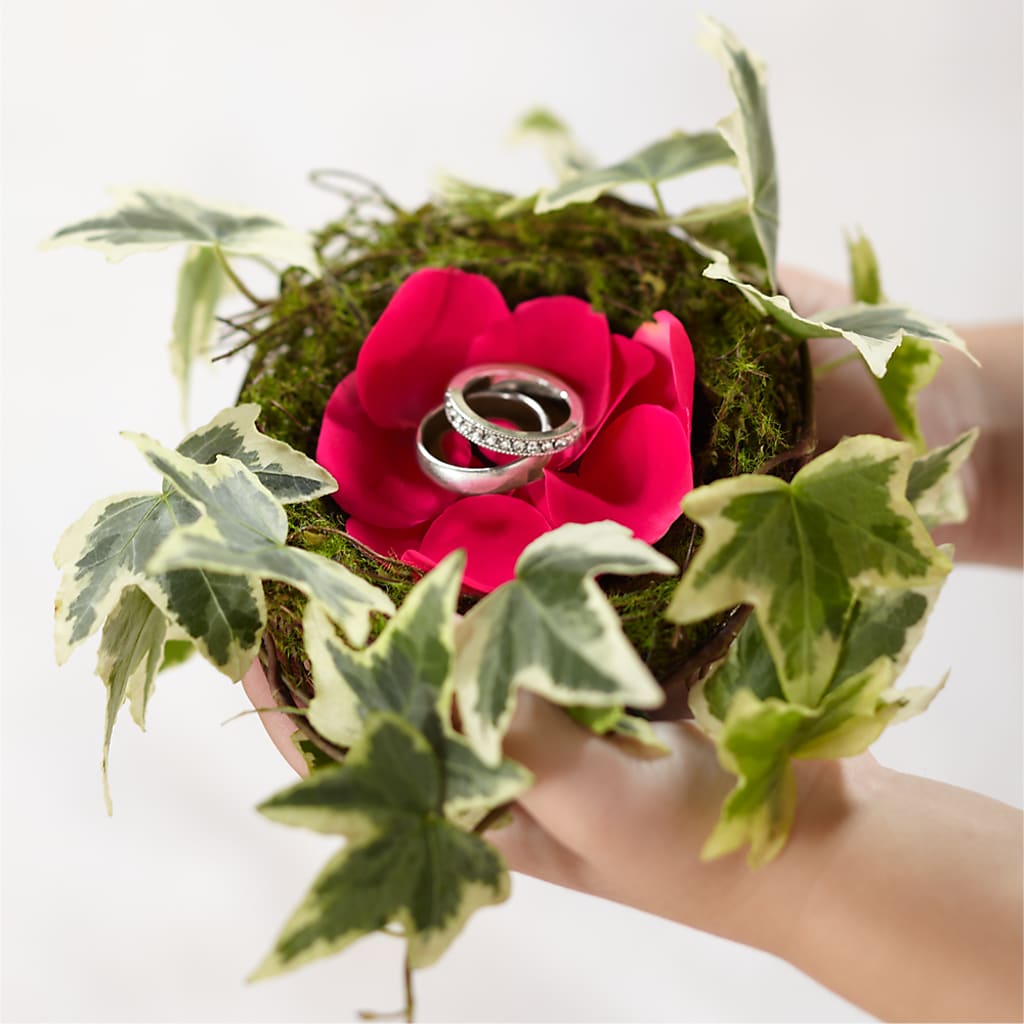 Lila Rose Ring Nest – WENDT'S POTS AND POSIES, Dunlap IA