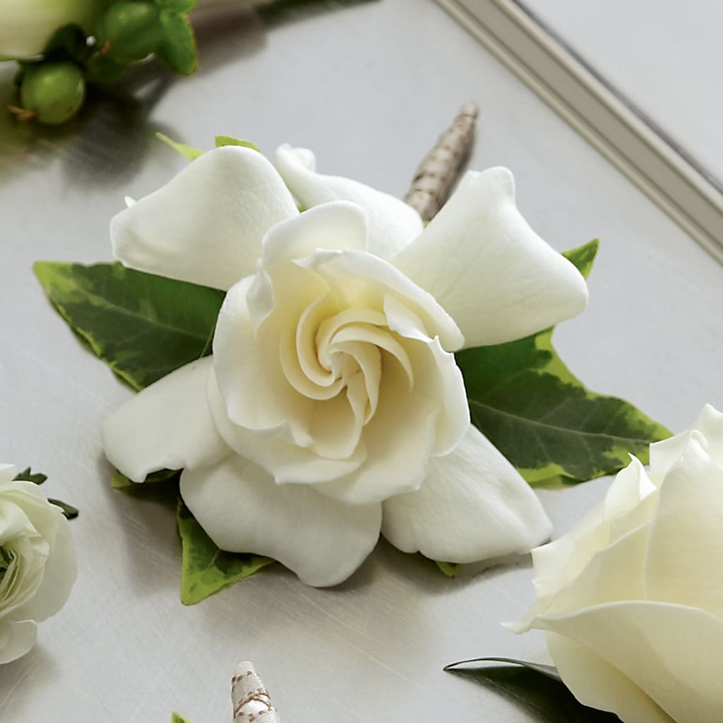 Gardenia Boutonniere – WENDT'S POTS AND POSIES, Dunlap IA