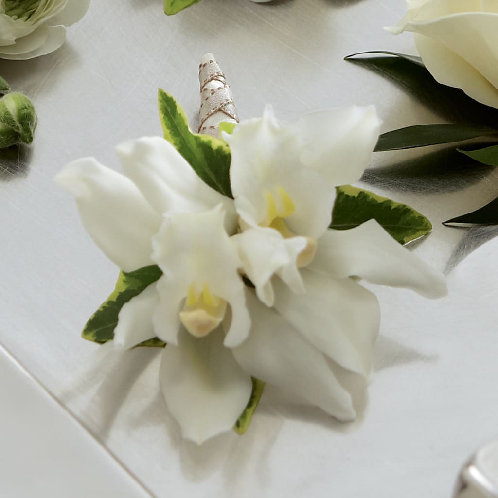 White Mini Cymbidium Boutonniere – WENDT'S POTS AND POSIES, Dunlap IA