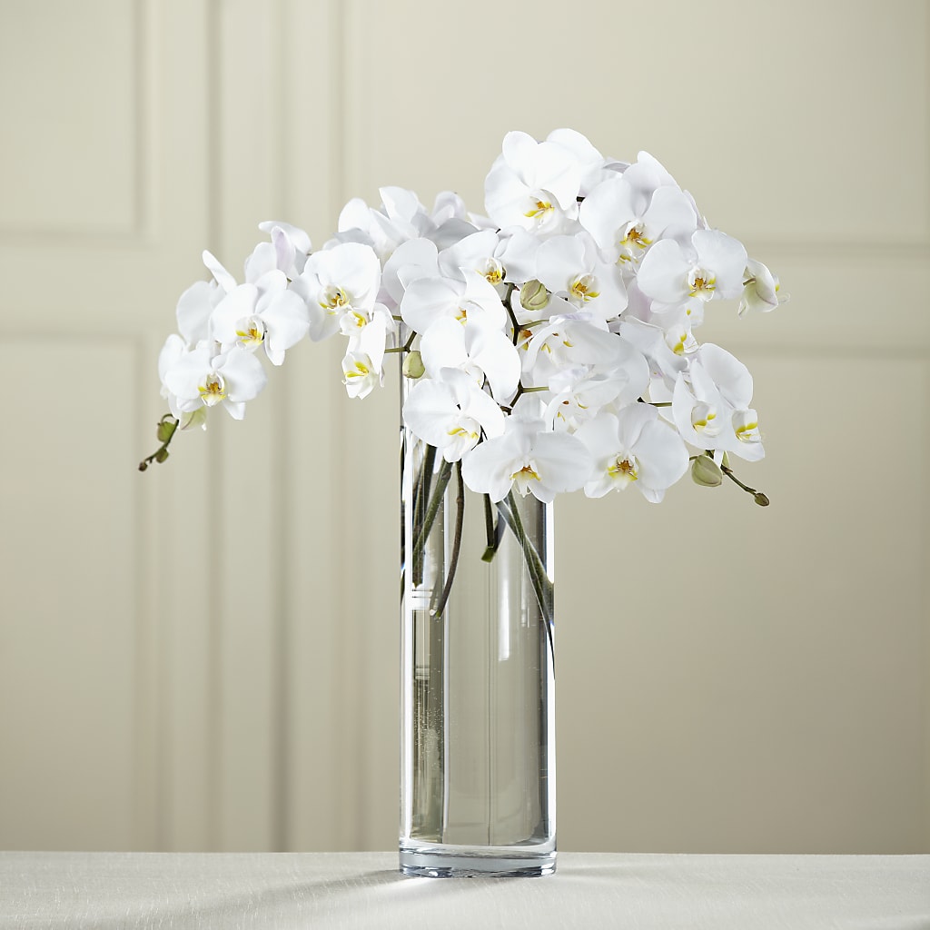 White Phalaenopsis Bouquet – WENDT'S POTS AND POSIES, Dunlap IA