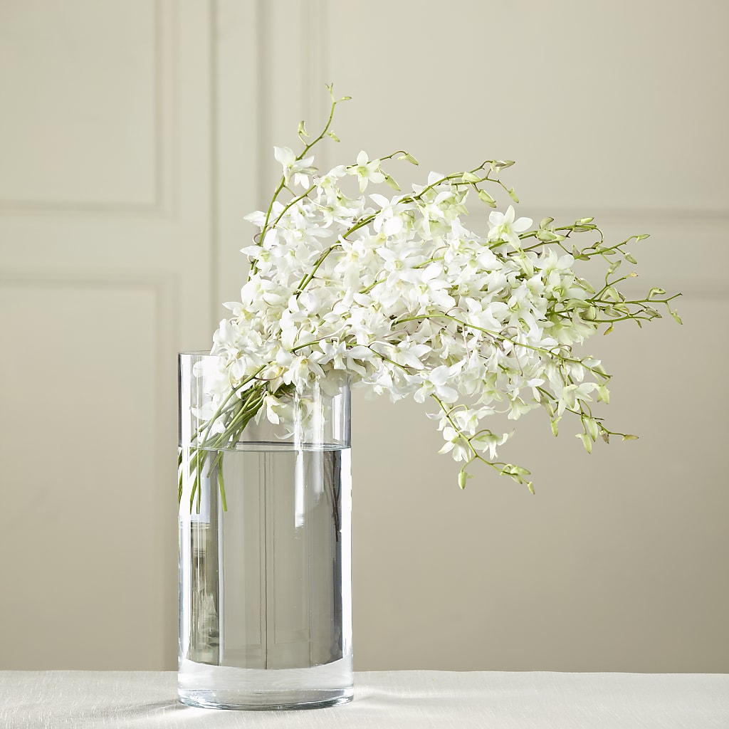 White Dendrobium Bouquet – WENDT'S POTS AND POSIES, Dunlap IA
