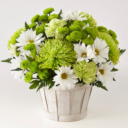 Lucky Charm Basket (Standard) – WENDT'S POTS AND POSIES, Dunlap IA