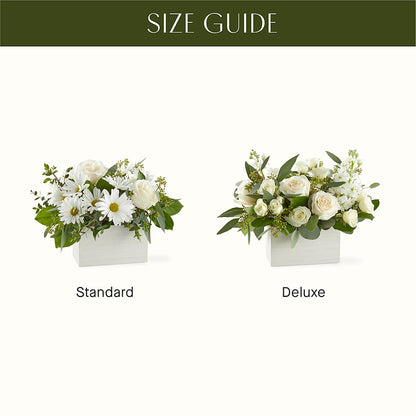 Fresh Linen Box Bouquet – WENDT'S POTS AND POSIES, Dunlap IA