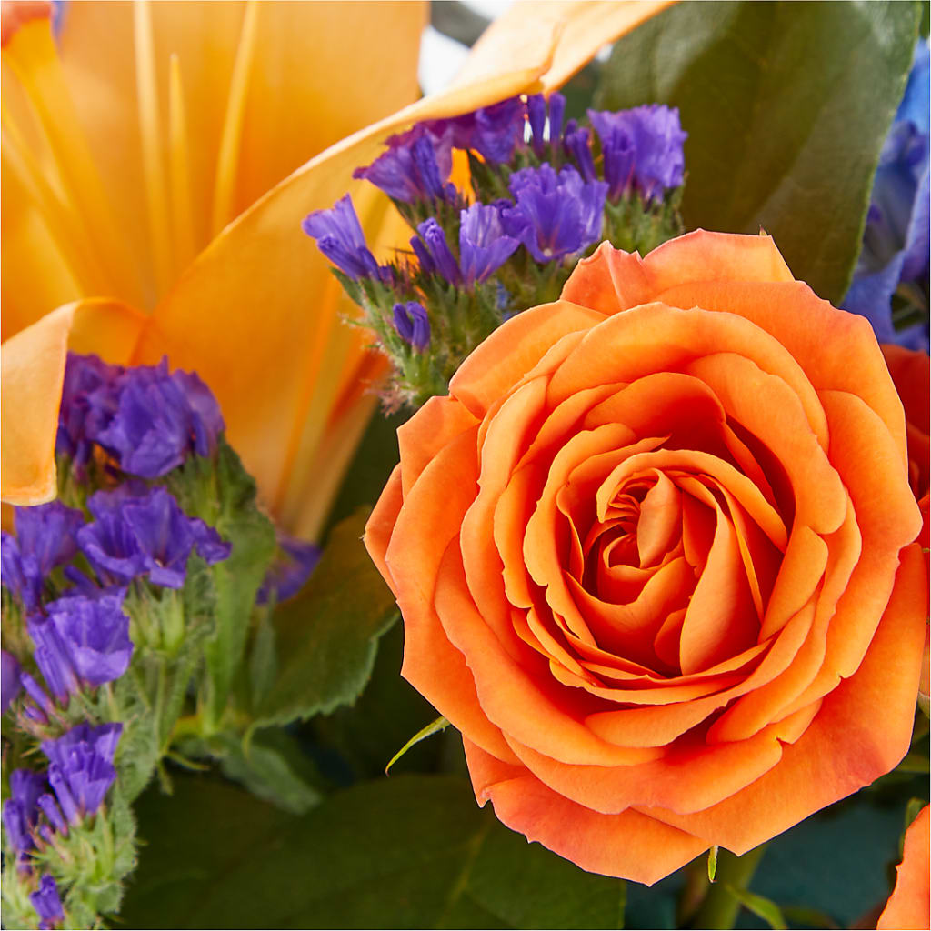 Radiant Citrus Box Bouquet – WENDT'S POTS AND POSIES, Dunlap IA