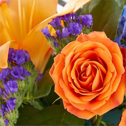 Radiant Citrus Box Bouquet – WENDT'S POTS AND POSIES, Dunlap IA