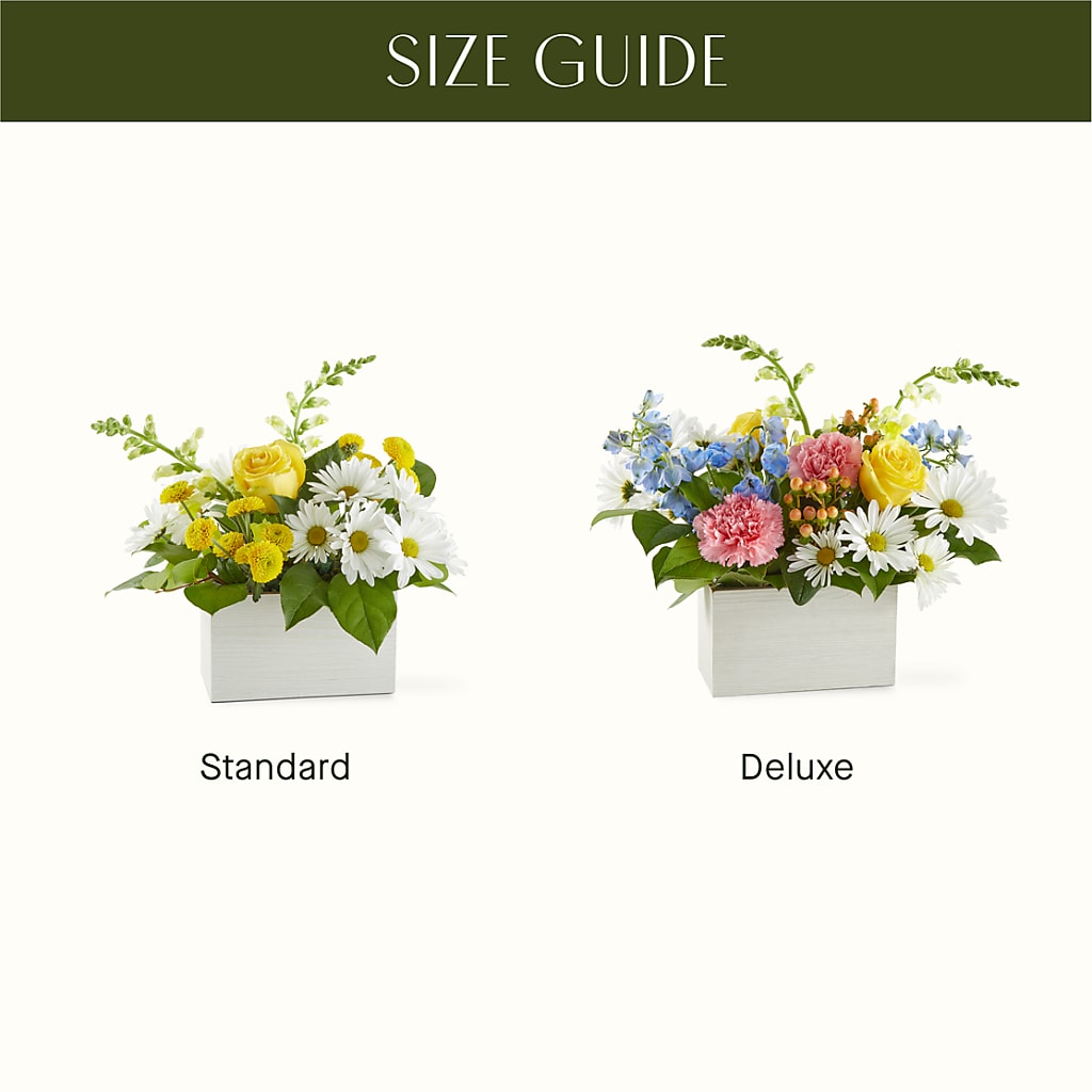 Sun Salutation Box Bouquet – WENDT'S POTS AND POSIES, Dunlap IA