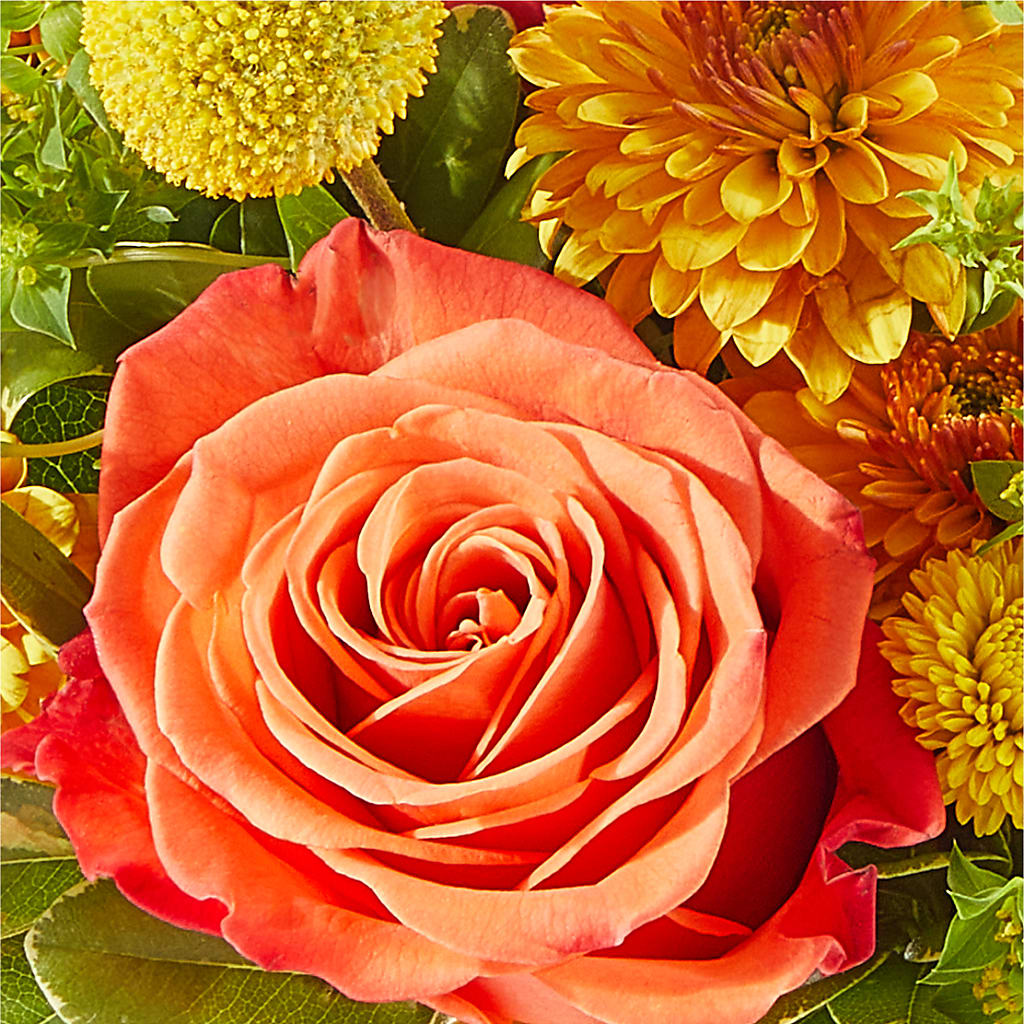 Gourdgeous Pumpkin – WENDT'S POTS AND POSIES, Dunlap IA