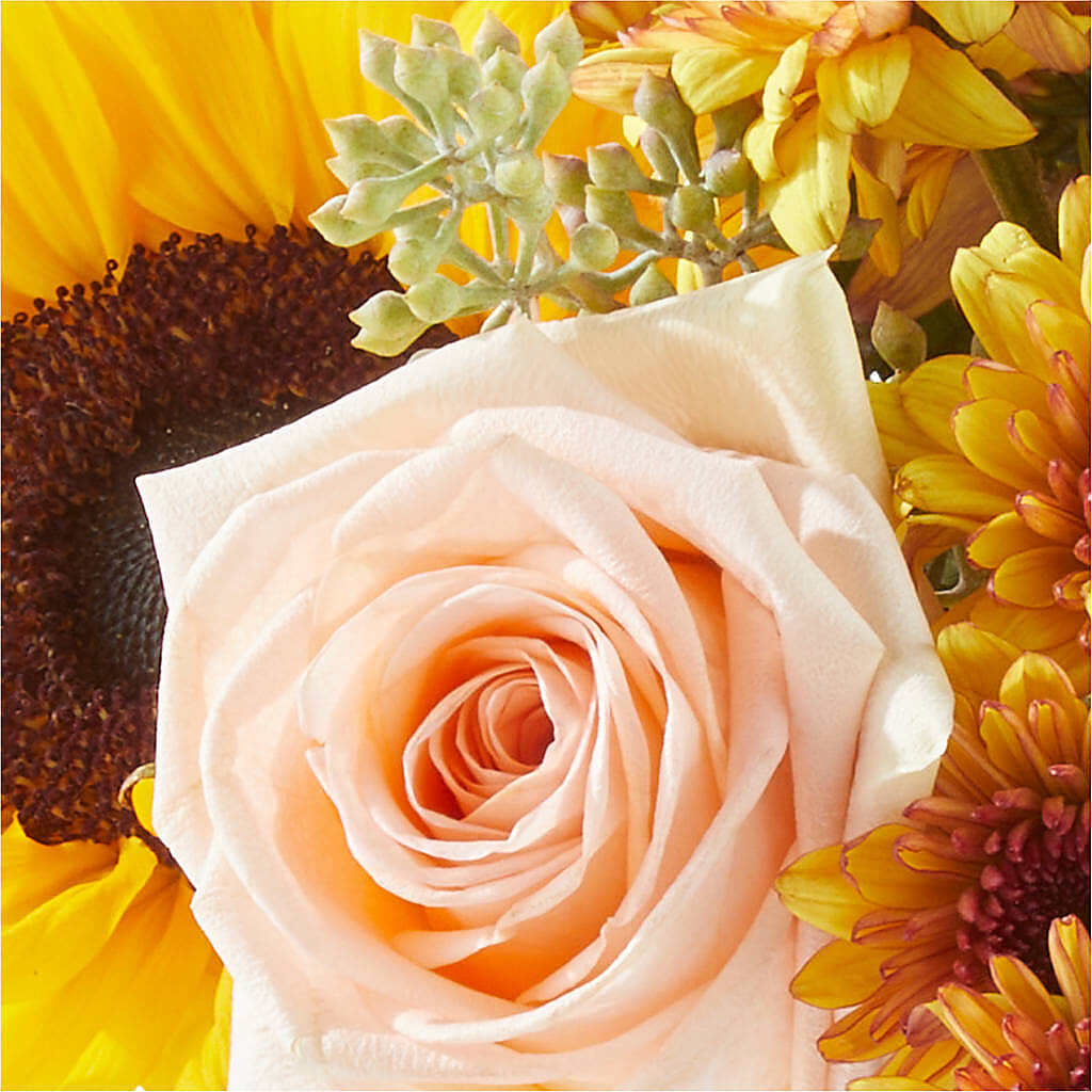 Pumpkin to Talk About Bouquet – WENDT'S POTS AND POSIES, Dunlap IA