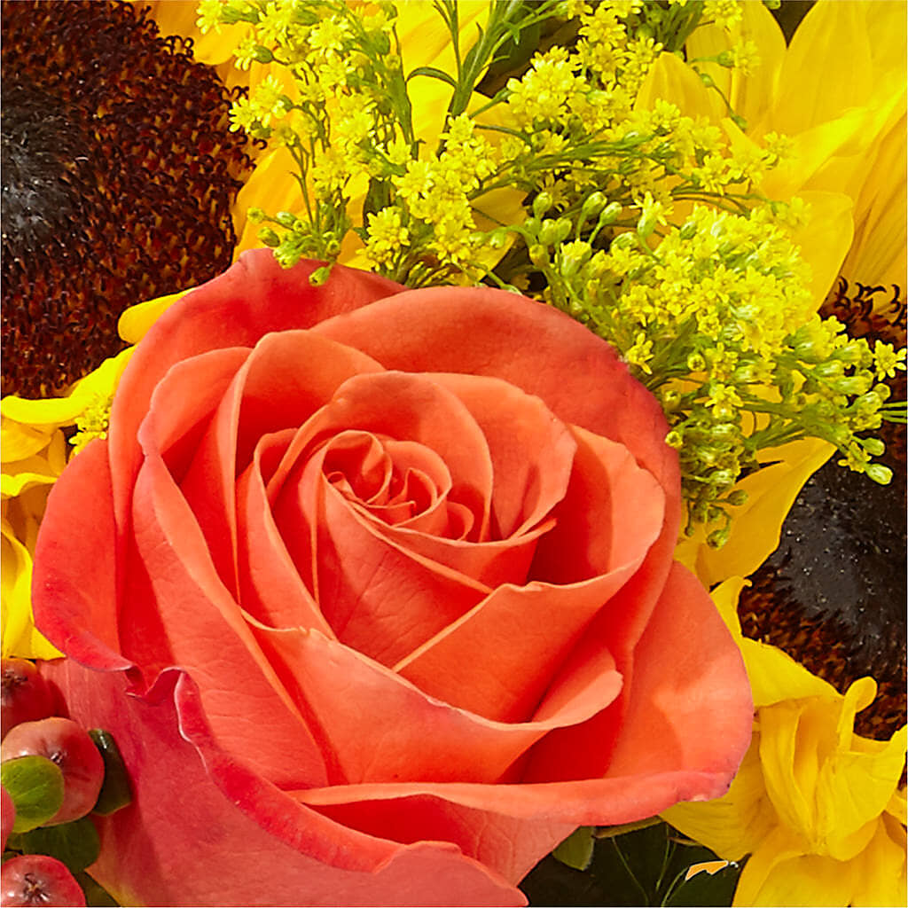 Pick of the Patch Pumpkin Bouquet – WENDT'S POTS AND POSIES, Dunlap IA