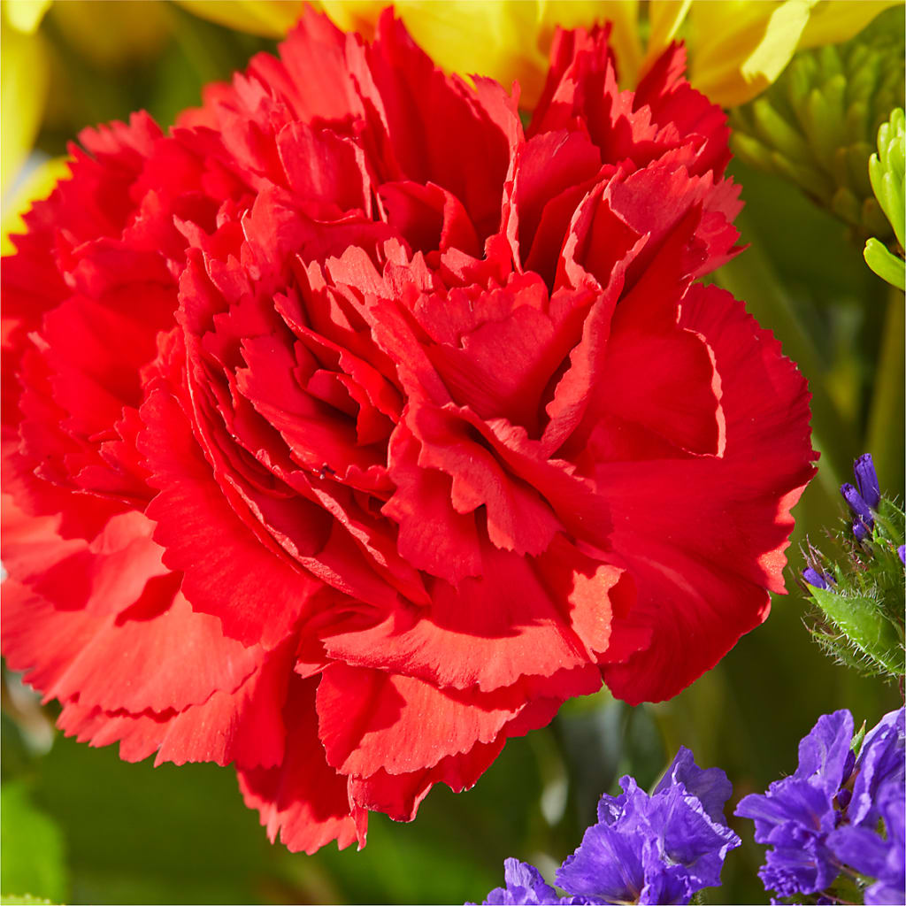 Brighter Days Bouquet – WENDT'S POTS AND POSIES, Dunlap IA