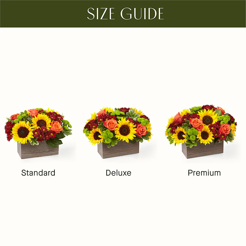 Happy Harvest Garden – WENDT'S POTS AND POSIES, Dunlap IA