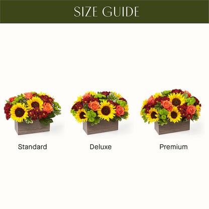 Happy Harvest Garden – WENDT'S POTS AND POSIES, Dunlap IA