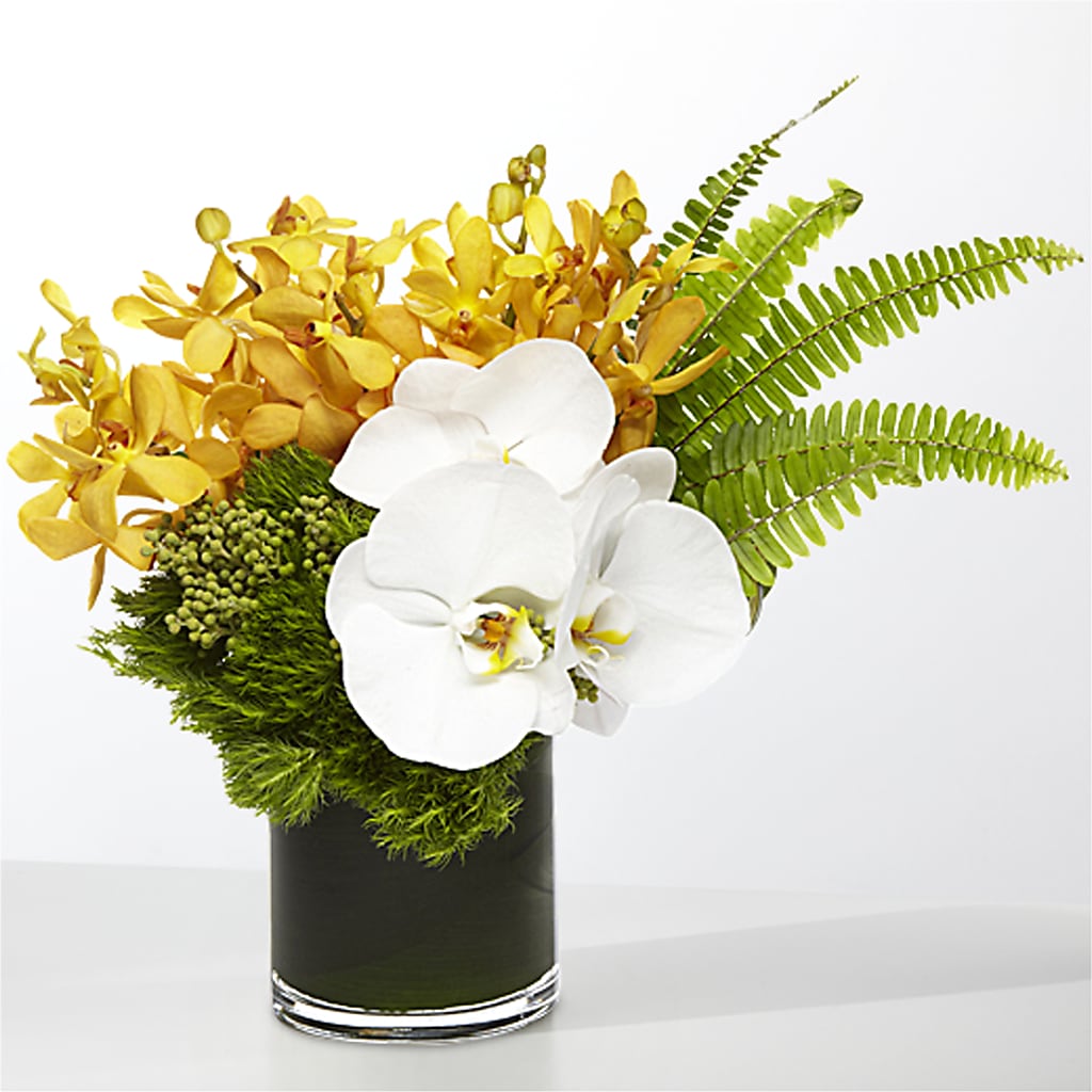 The Tropics – WENDT'S POTS AND POSIES, Dunlap IA