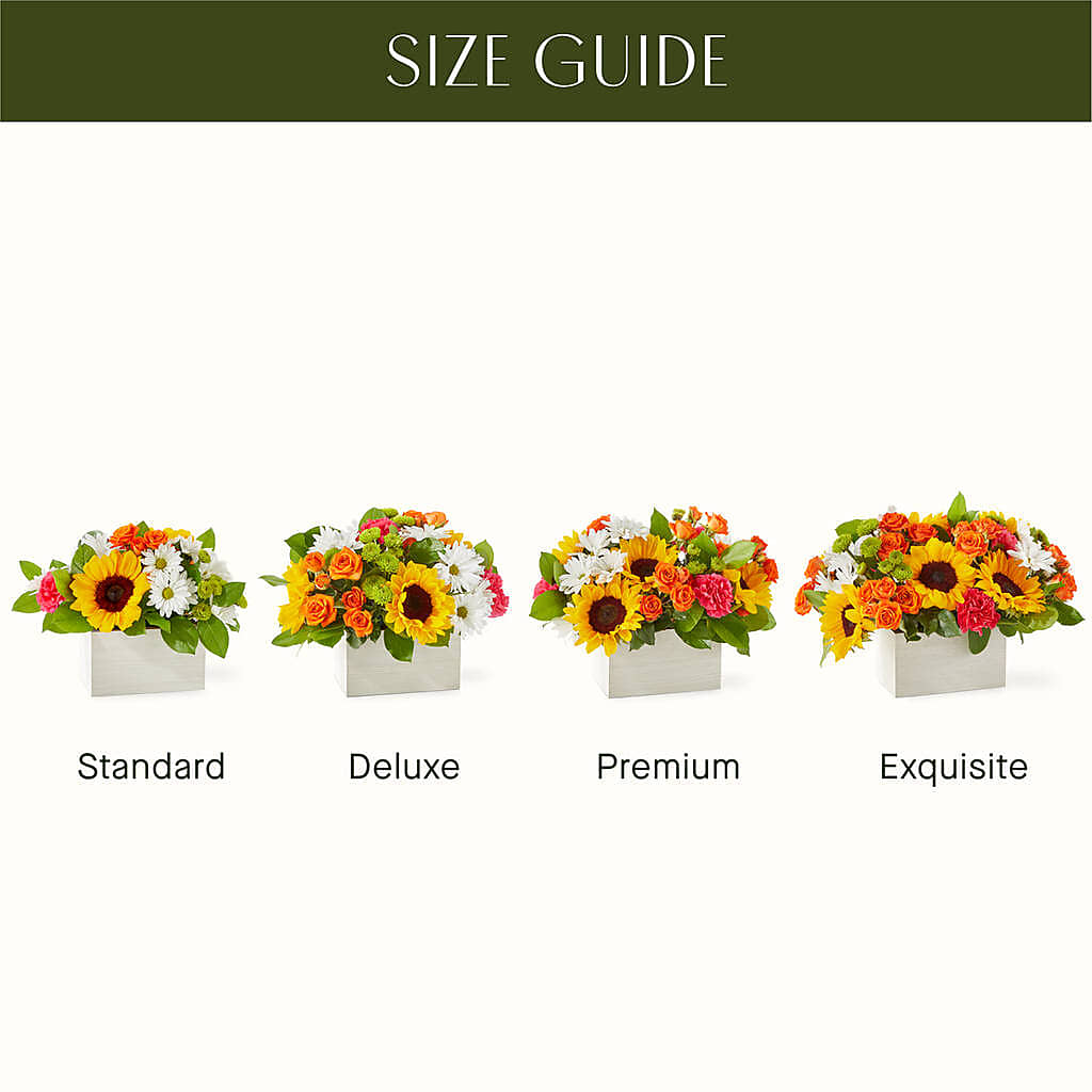 Sun-drenched Blooms Box Bouquet – WENDT'S POTS AND POSIES, Dunlap IA