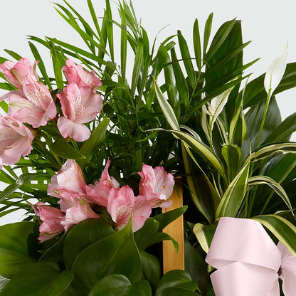 Living Spirit Dishgarden – WENDT'S POTS AND POSIES, Dunlap IA