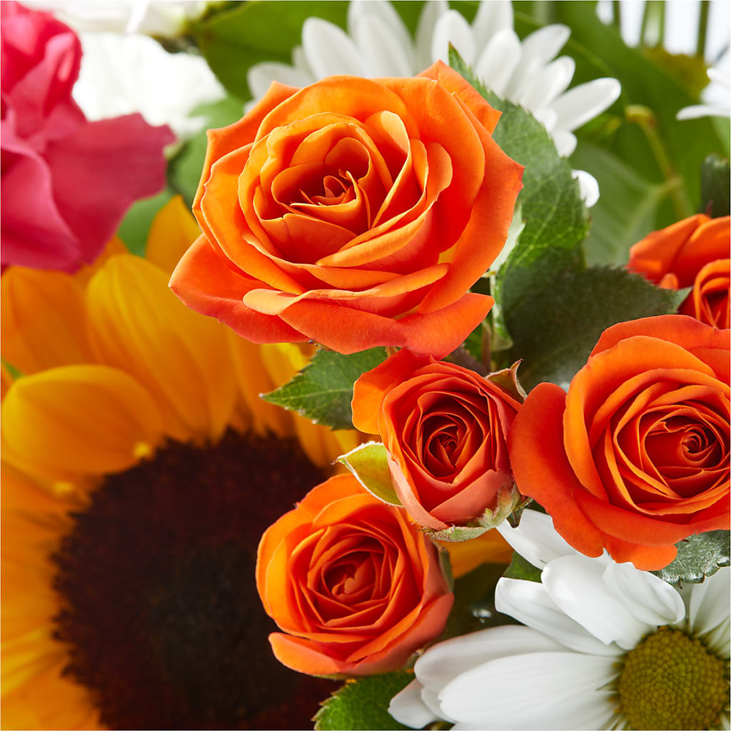 Sun-drenched Blooms Bouquet – WENDT'S POTS AND POSIES, Dunlap IA