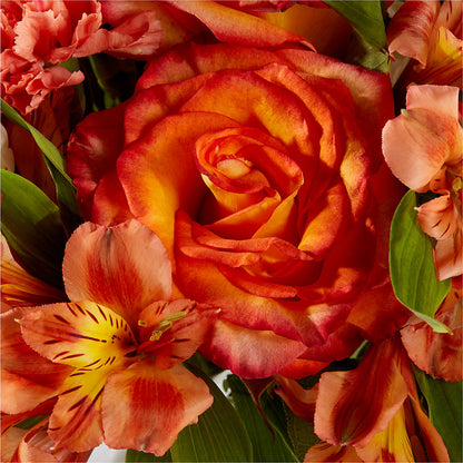 Apricot Glow Bouquet – WENDT'S POTS AND POSIES, Dunlap IA
