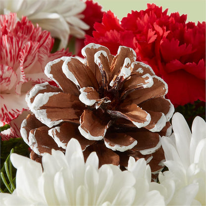 Candy Cane Lane Bouquet – WENDT'S POTS AND POSIES, Dunlap IA