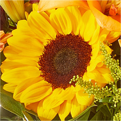 Seasons Change Bouquet – WENDT'S POTS AND POSIES, Dunlap IA