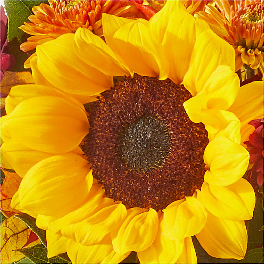 Sunny Side Bouquet – WENDT'S POTS AND POSIES, Dunlap IA