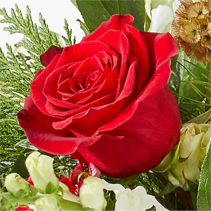 Deck the Halls Bouquet – WENDT'S POTS AND POSIES, Dunlap IA