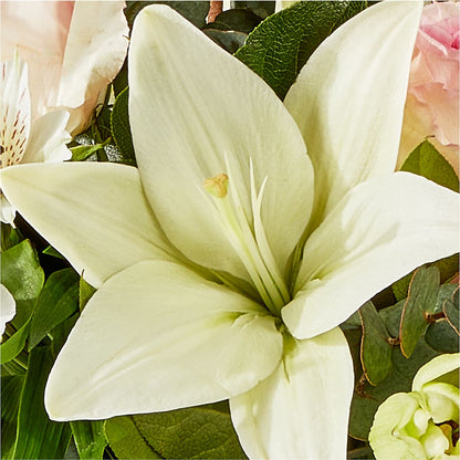 Ballet Slippers Bouquet – WENDT'S POTS AND POSIES, Dunlap IA