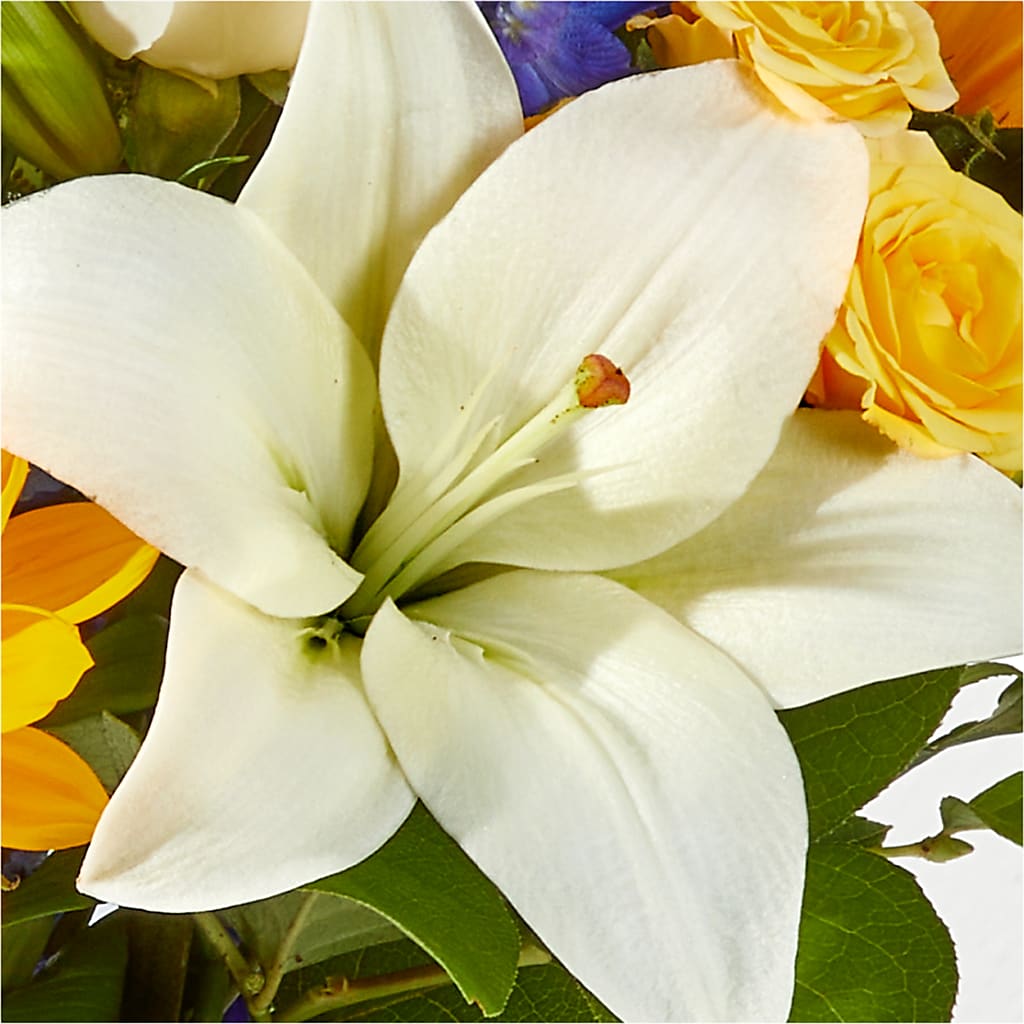 Wonderfully Sunny Bouquet – WENDT'S POTS AND POSIES, Dunlap IA