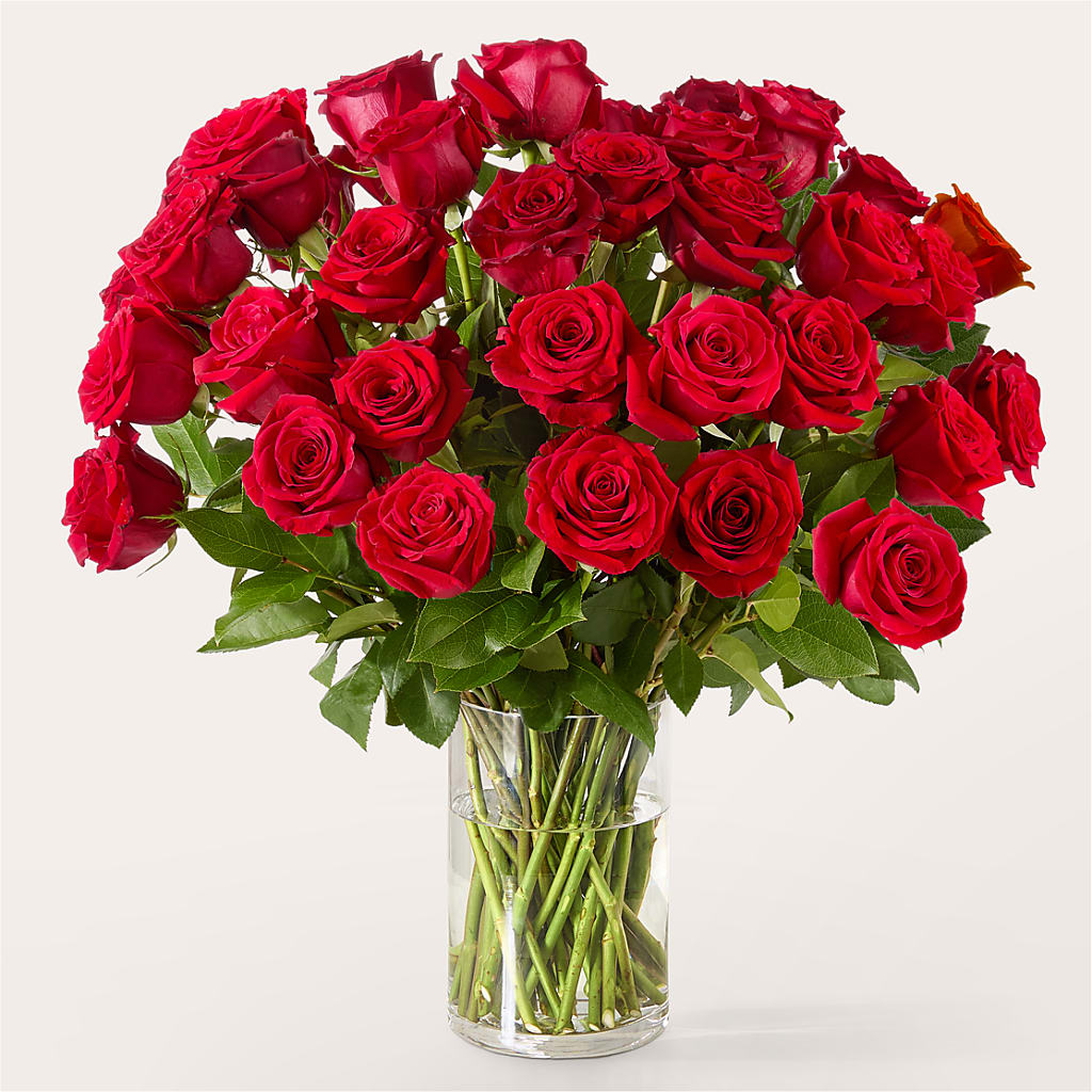 The One Red Rose Bouquet – WENDT'S POTS AND POSIES, Dunlap IA