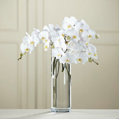 White Phalaenopsis Bouquet – WENDT'S POTS AND POSIES, Dunlap IA